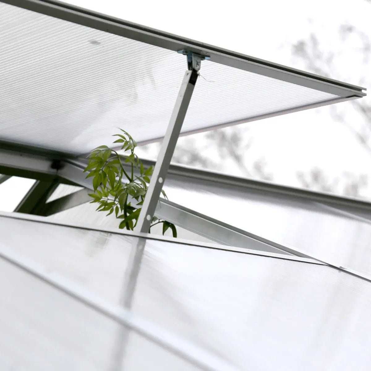 8' x 20' Aluminum Frame Greenhouse w/4 mm Twin Wall Polycarbonate Panels, UV Protected Panels, TMG-GH820 - Image 9