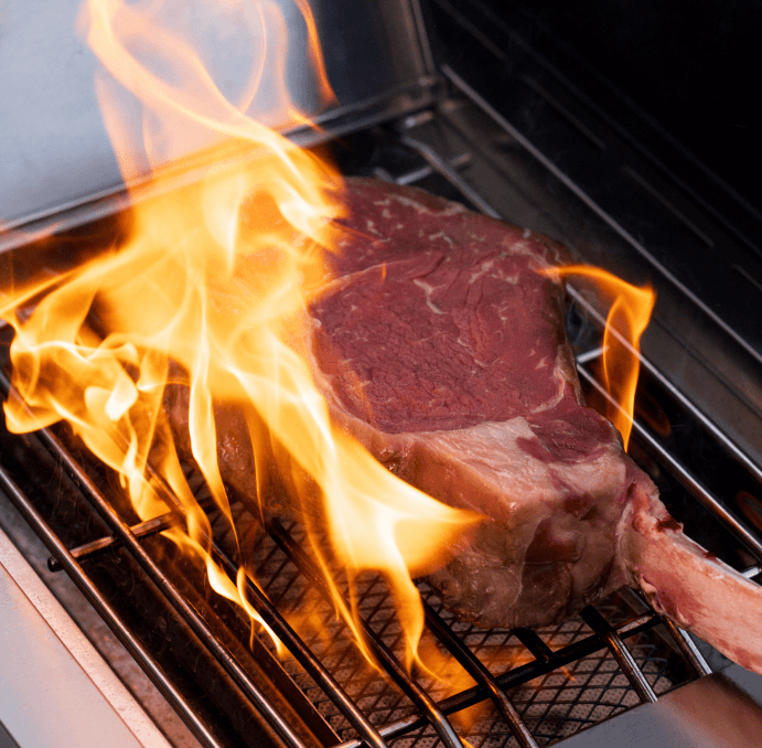 Monument Grills Eminence 605 Advanced Stainless Natural/Propane Gas Grill Eminence 605 - Image 3