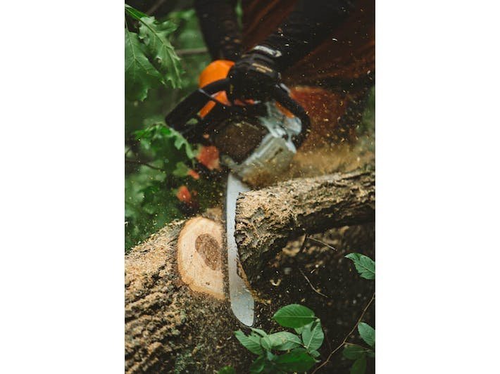 STIHL MS 462 C-M 28 72.2cc 28″ 13 Lbs Fuel-Efficient Gas-Powered M-Tronic C-M Chainsaw w/Bar & Chain - Image 2