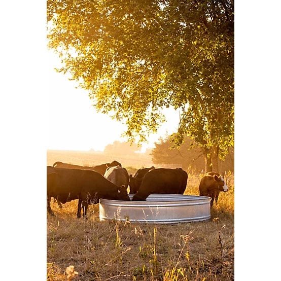 CountyLine 700 gal. Galvanized Round Stock Tank, 8 ft. x 2 ft. x 8 ft. - Image 2