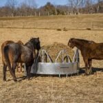 CountyLine 1 Round bale 8 ft. x 50 in. Equine Pro Galvanized Sheeted Bale Feeder for Horses with Hay Saver - Image 3