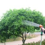 8-Pattern Garden Hose Nozzle Multifunctional High-Pressure - Image 5