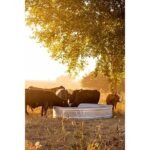 CountyLine 700 gal. Galvanized Round Stock Tank, 8 ft. x 2 ft. x 8 ft. - Image 2