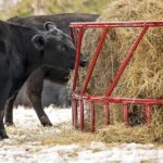 CountyLine 1 Round Bale 8 ft. x 45 in. Heavy-Duty Hay Bale Feeder for Cattle - Image 4