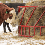 CountyLine 1 Round Bale 8 ft. x 45 in. Heavy-Duty Hay Bale Feeder for Cattle - Image 3