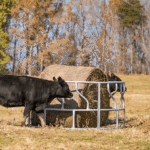CountyLine 1 Round Bale 8 ft. Round Hay Bale Feeder for Livestock, Galvanized, GFOE - Image 2