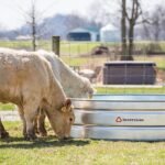 CountyLine 700 gal. Galvanized Round Stock Tank, 8 ft. x 2 ft. - Image 2