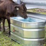 CountyLine 170 gal. Oval Galvanized Stock Tank, 2 ft. X 6 ft. X 2 ft., WT226CL - Image 2