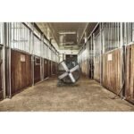 New!CountyLine 42 in. 2-Speed Belt-Drive Drum Fan - Image 3