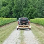 STIRLING, 5ft. x 8ft. Galvalume Kit Trailer w/12in. Wheels, Load Capacity 1250 lb, Deck Length 8 ft, Deck Width 5 ft, Model# 60-096-KO12 - Image 4