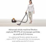 Dyson Big Ball Turbinehead - Image 4