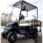 Electric Termite Golf Cart Mini Four Seater Optionally Fully Loaded – BLACK