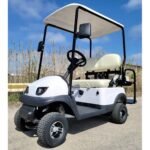 Electric Termite Golf Cart Small Four Seater Optionally Fully Loaded – White
