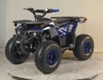 125cc Youth ATV 4-stroke 1-cylinder JUST ARRIVED 2025 - Image 3