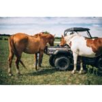 Axis 500 4×4 UTV - Image 4