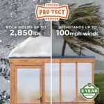 9×6 Willow Greenhouse - Image 2