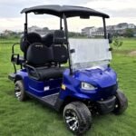 48V Electric Golf Cart 4 Seater Renegade X Edition Utility Golf UTV – BLUE