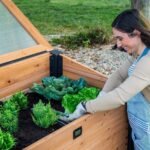 Aggie Cold Frame Box - Image 6