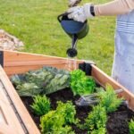 Aggie Cold Frame Box - Image 8