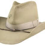 Charlie 1 Horse Desperado 3X Wool Western Hat