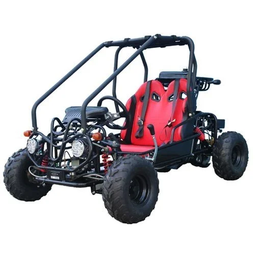 1-336.webp Taotao GK110 Kids Gas Go Kart Dune Buggys. - Image 1